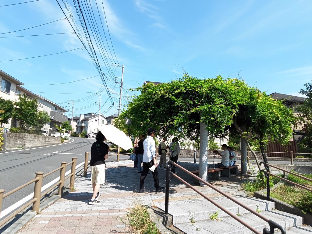 藤棚